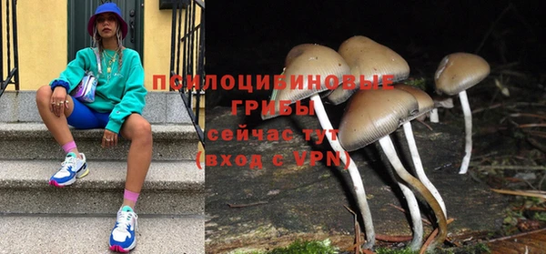 мескалин Богданович