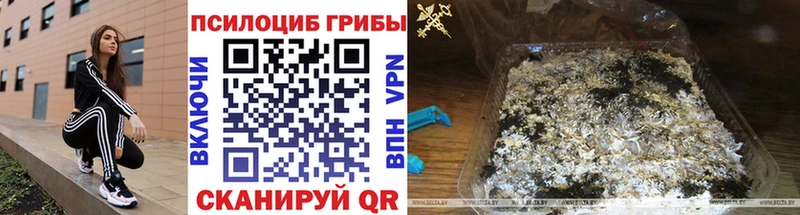 где купить наркоту  Дюртюли  гидра как зайти  Галлюциногенные грибы прущие грибы 